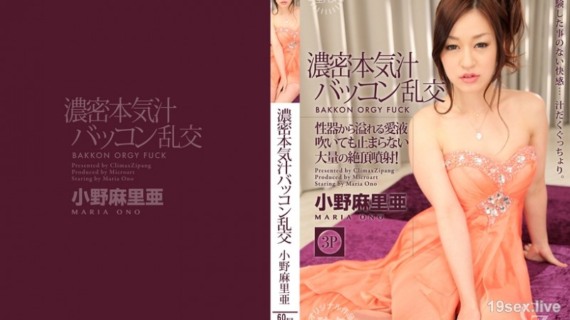 게밀본 기즙 배콘난교