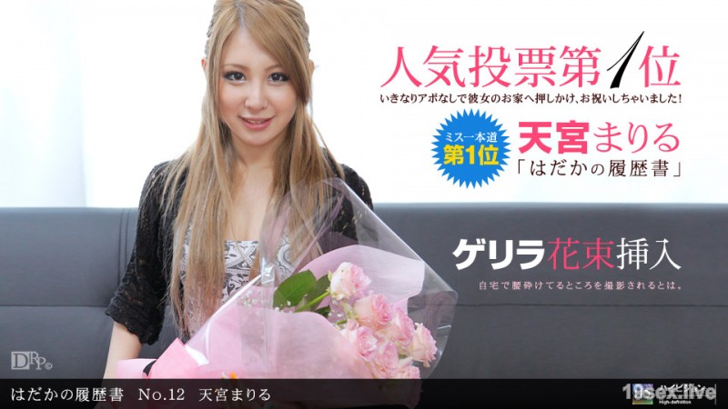 하다카 이력을 No.12