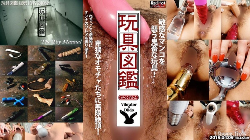 장난감 도감 총금 10명 240분