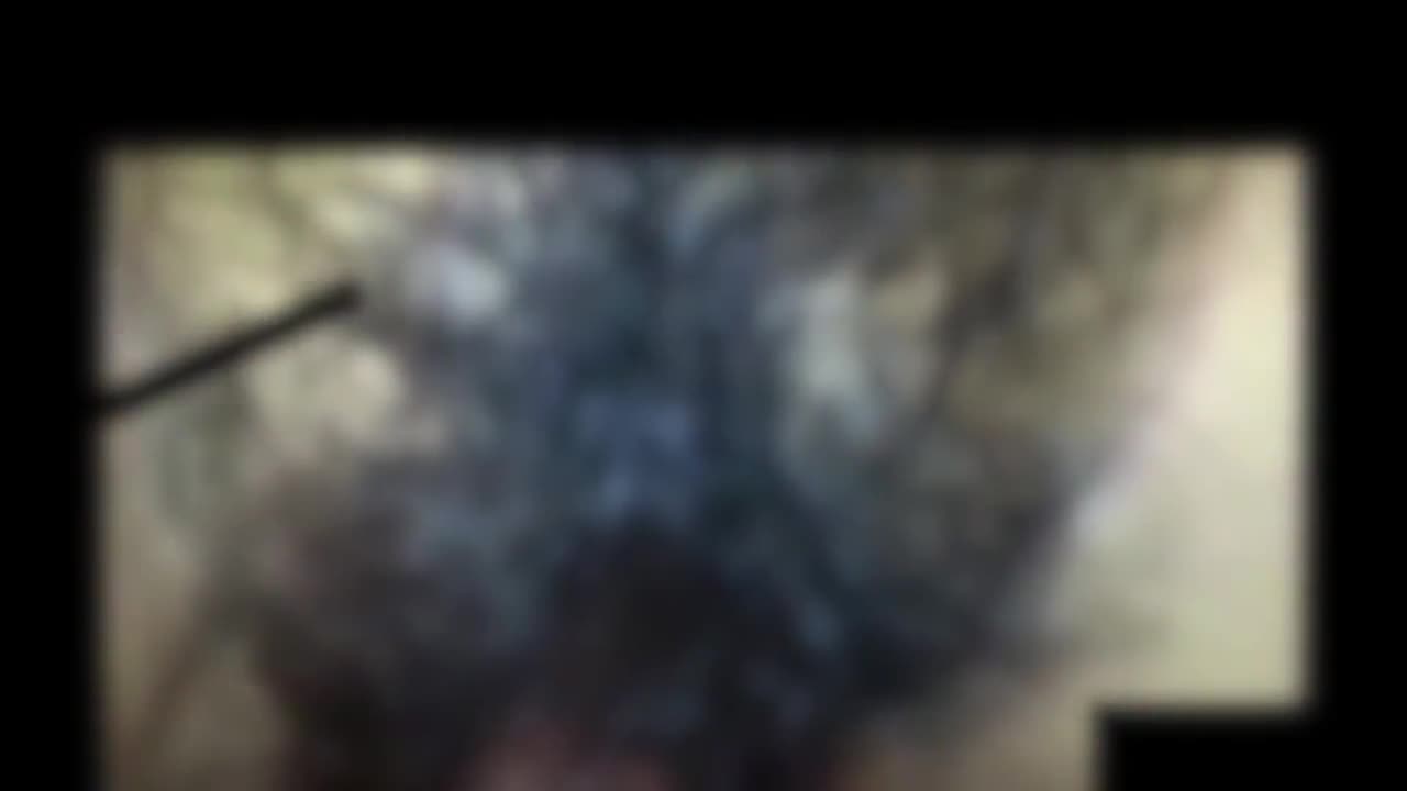 한국비디오 본능적으로