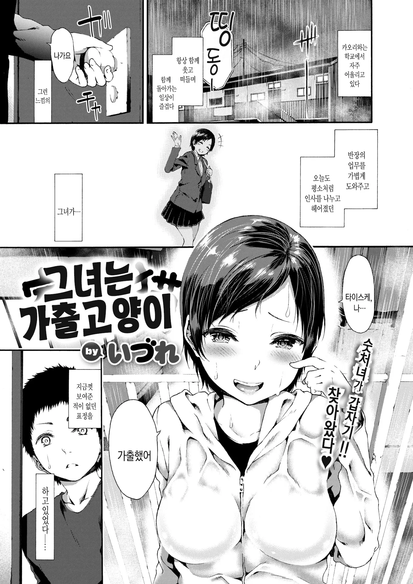 그녀는 가출고양이