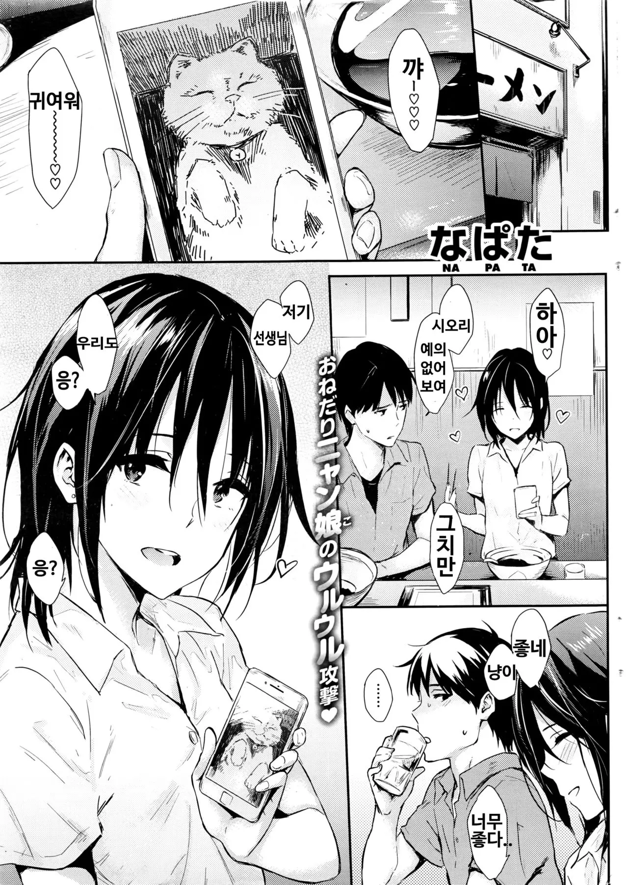 고양이 사고싶어