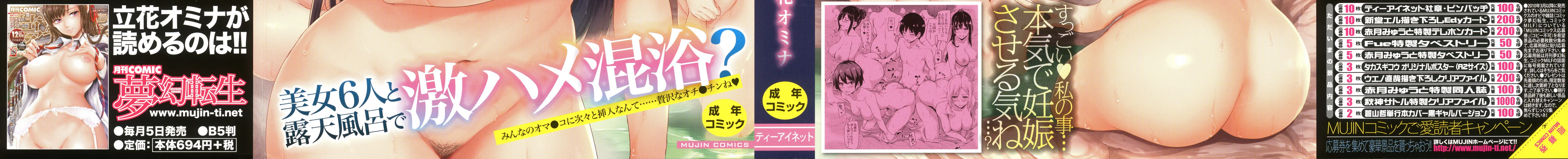 온천 하렘 이야기