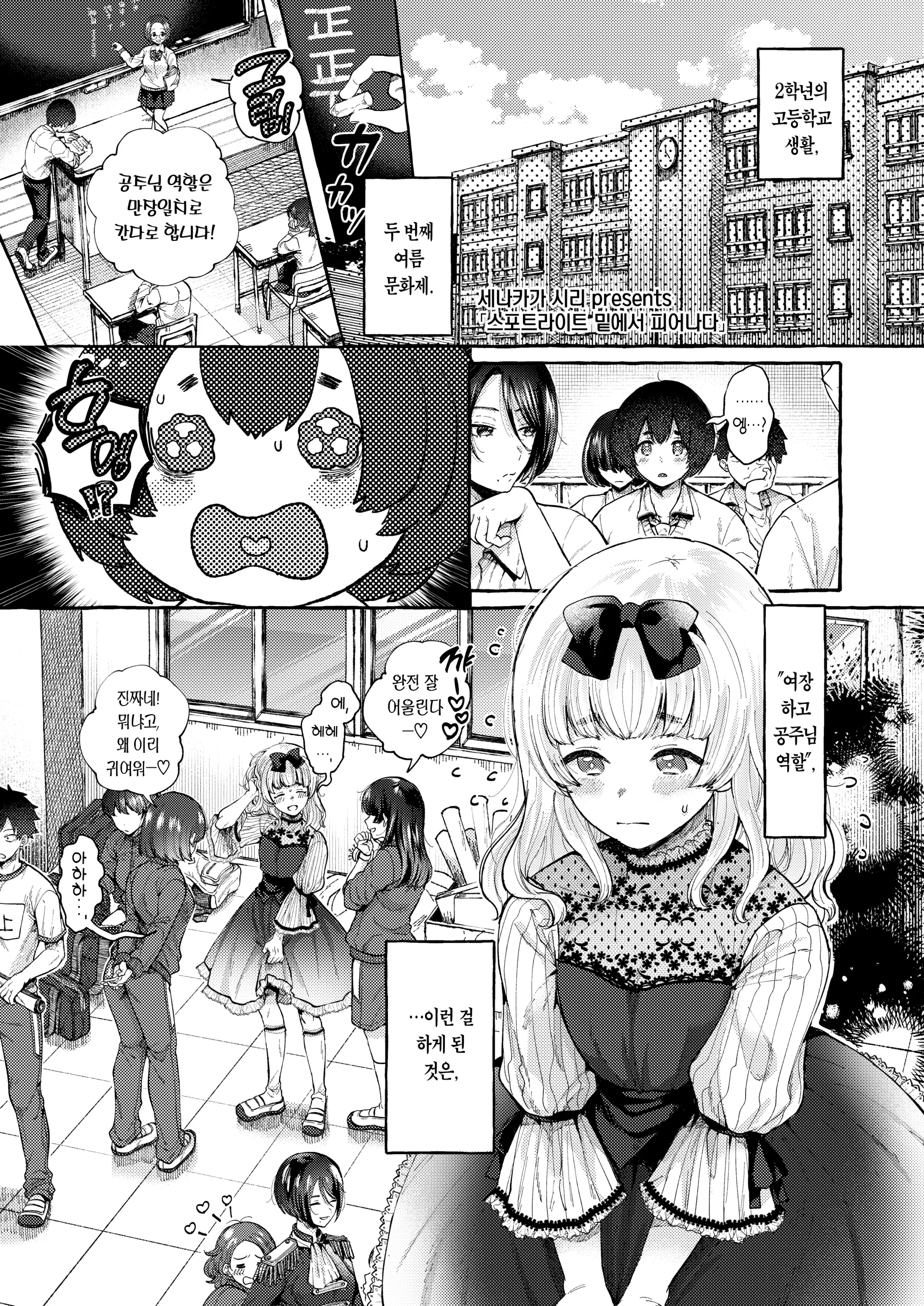 스포트라이트 밑에서 피어나다