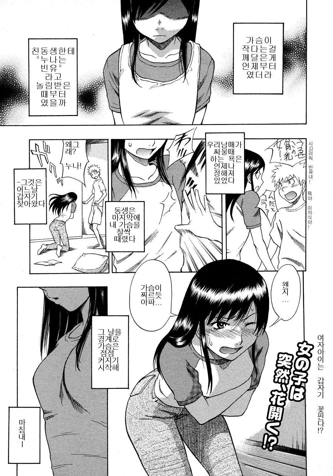 큰 가슴 이야기