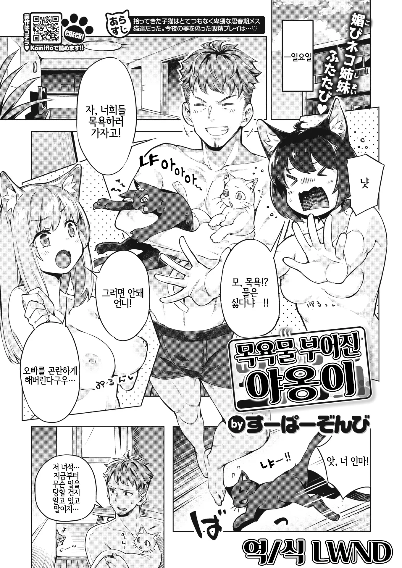 목욕물 부어진 야옹이