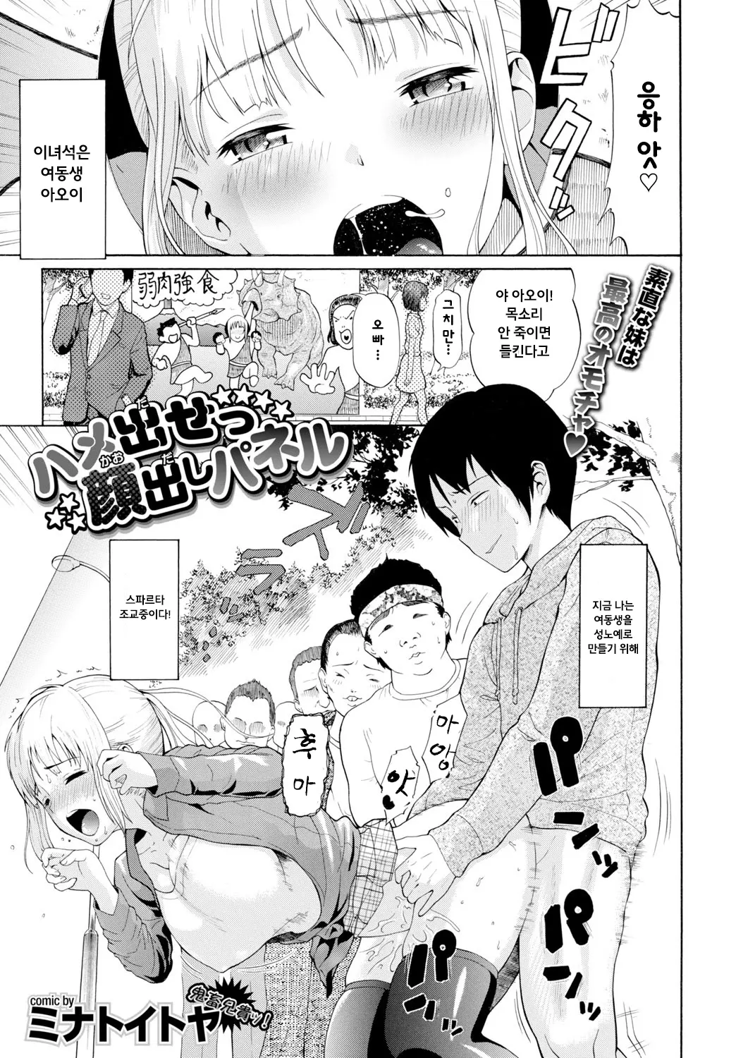 하메다세 카오다시 패널