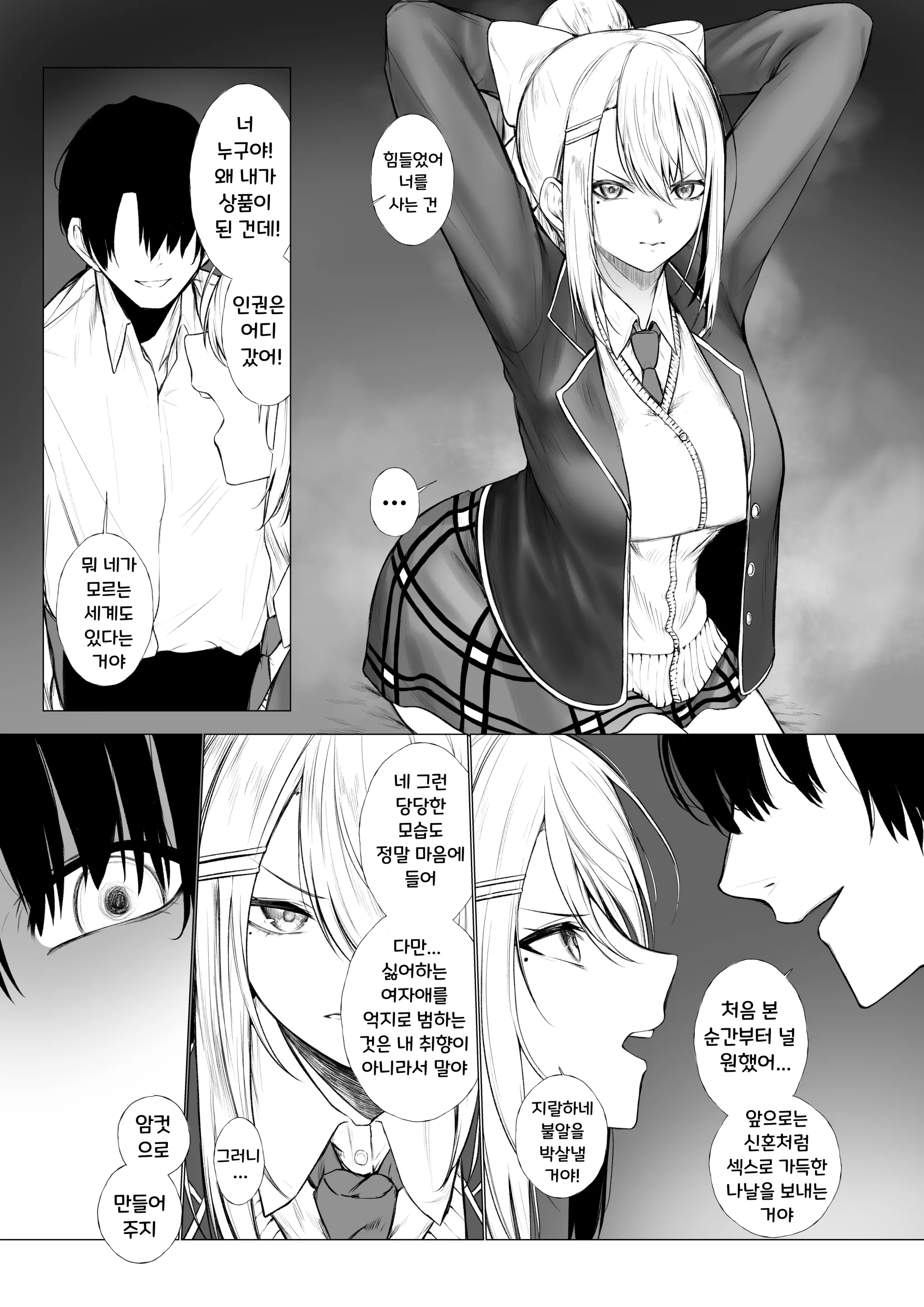 Dr이 팔려버린 이야기