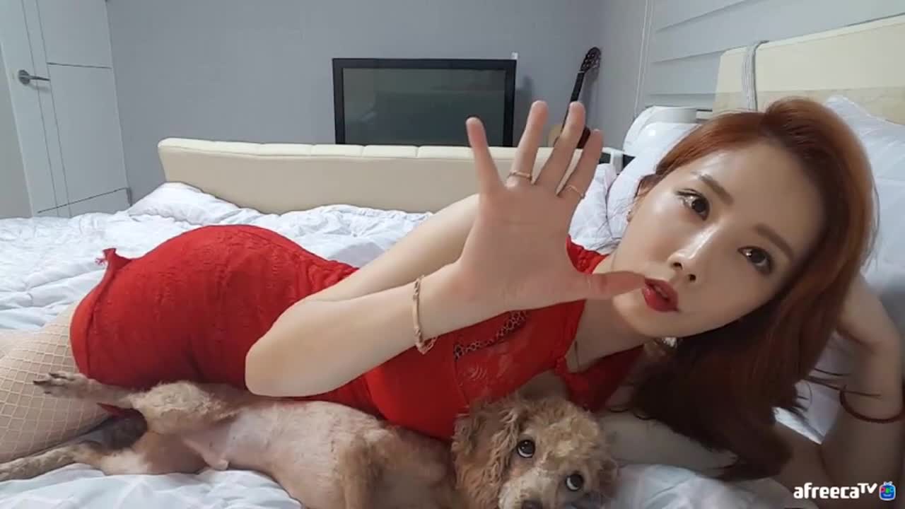 강아지랑 상황극 하는 인방녀