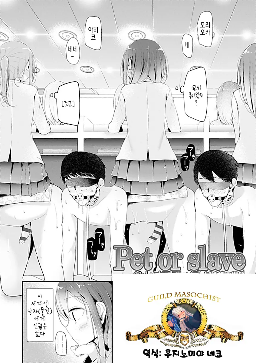 펫 오어 슬레이브 - 메이케 미사키의 경우