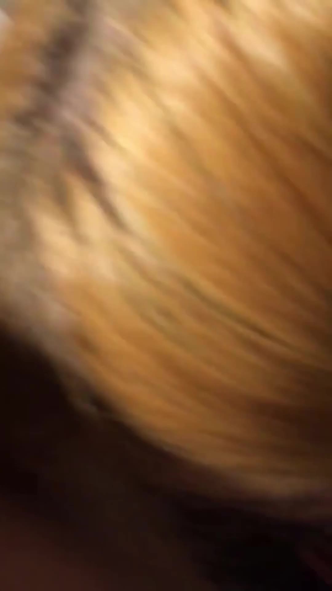 맛나게도 빠는년 보답으로 뒤치기 작살