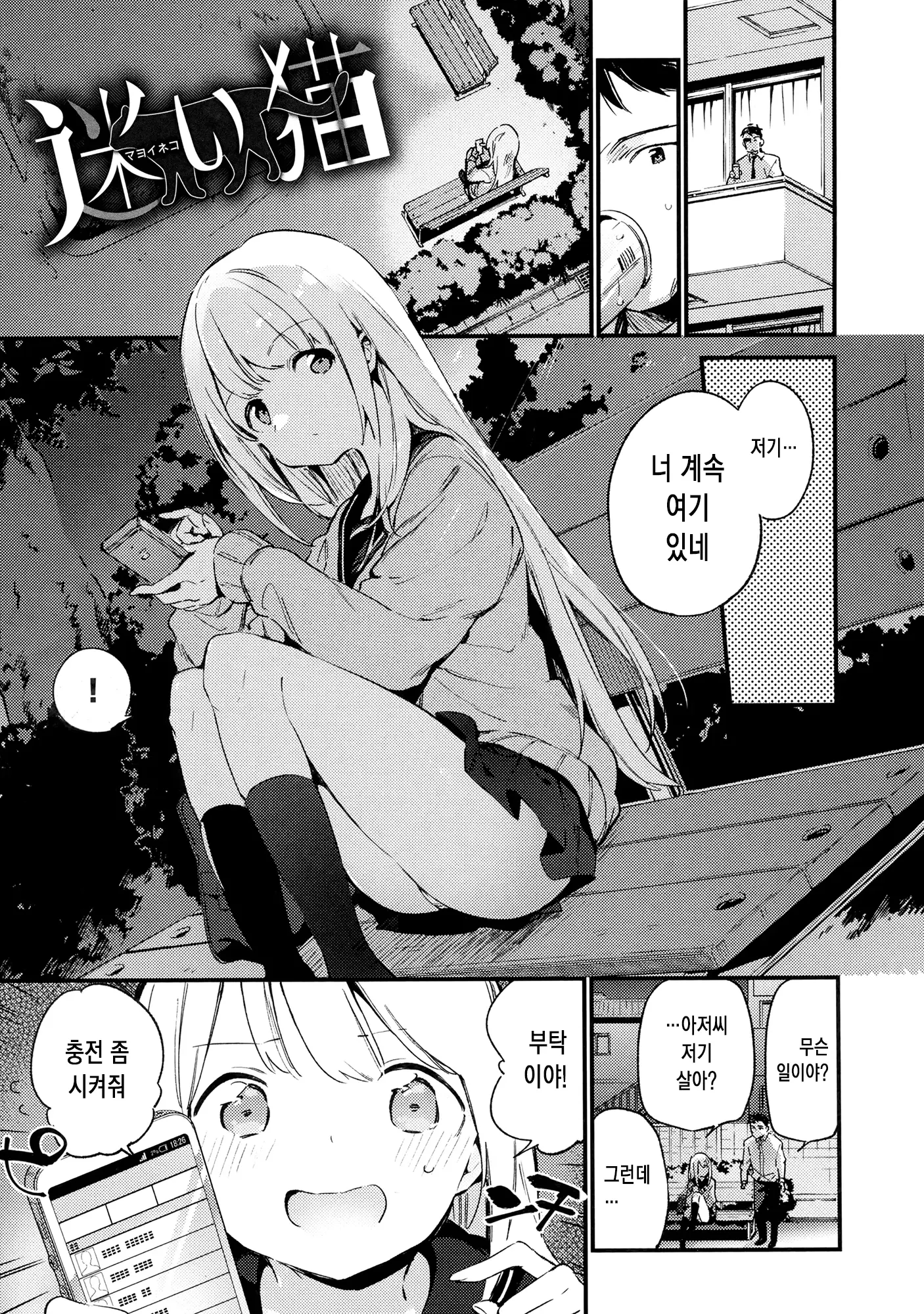 비밀 + 토라노아나 한정 리플릿 2