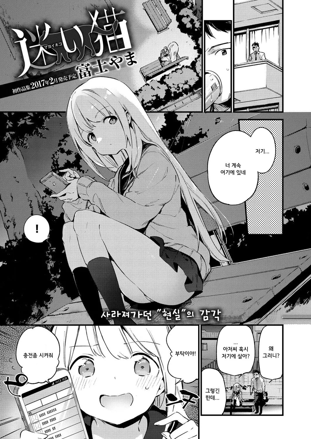 마요이의 코양이