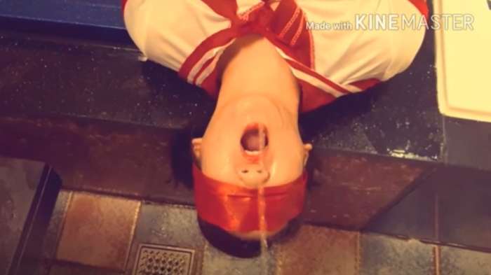 한국야동 - 혐주의-트위터선정 최고의 변태커플