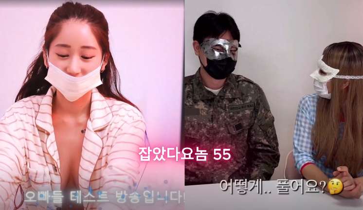 피딩 비글이 컨텐츠비교 딱걸렸어~